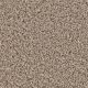 sample-carpet
